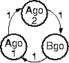 Non-adaptive traffic light FSM with 2:1 time ratio